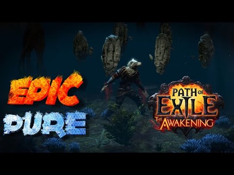 [Path of Exile] Rigwald - The Wolven King Kill (low version)