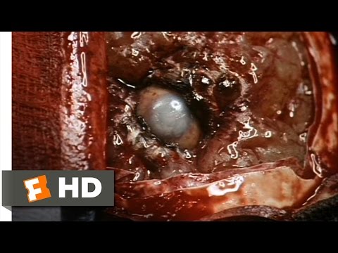 The Dark Half (1/11) Movie CLIP - Startling Discovery (1993) HD