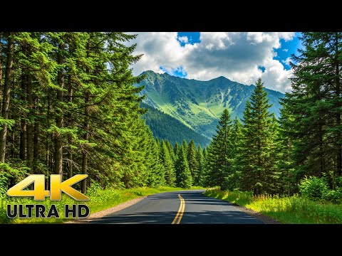 Olympic Peninsula Scenic Drive to Olympic National Park Washington 4K - Pacific Coast Mountains