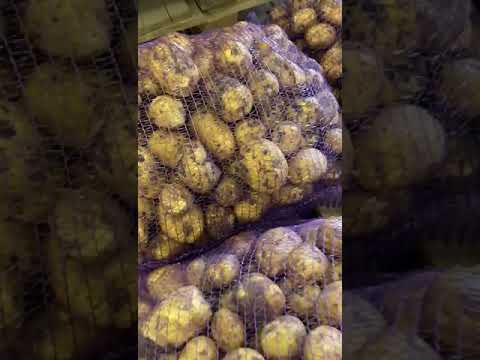 Картофель оптом