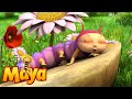 Max Has A Crush Maya The Bee Episode 28