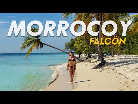 The BEST BEACHES in VENEZUELA? | The PARADISE of MORROCOY 🇻🇪 | Traveling with Bivi