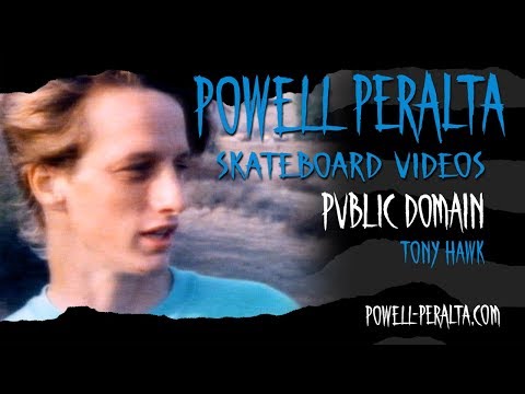 PUBLIC DOMAIN CH. 18 HAWK