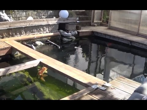 Garten 2020-1 - Frühlingserwachen - Saisonstart für Teich, Koi und Bonsai