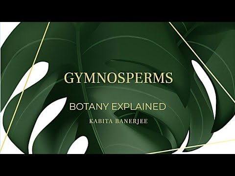 download lagu mp3 mp4 Cycas Plant In Hindi, download lagu Cycas Plant In Hindi gratis, unduh video klip Cycas Plant In Hindi