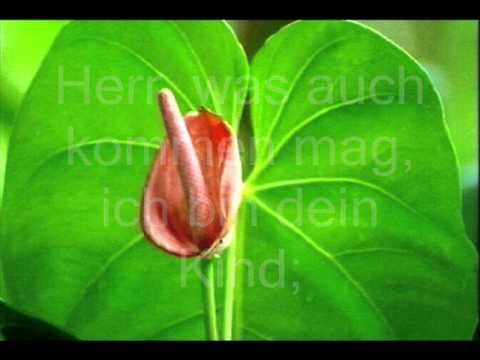 weiß ich den Weg auch nicht