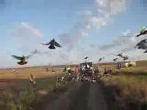 COLUMBODROM HONEST RACE - FUNDENI 125Km