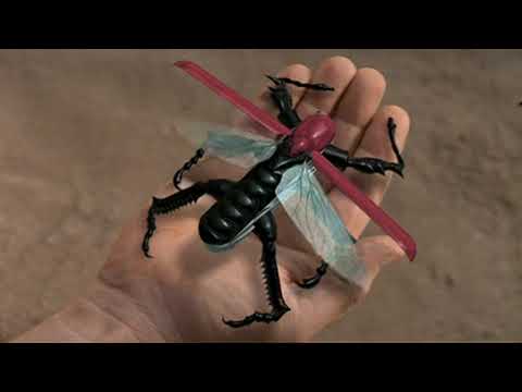 Arthropod Animation - Swiss Army Knife
