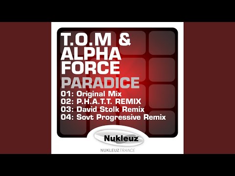 Paradice (David Stolk Remix)