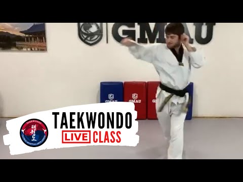 Taekwondo Basic Punching & Kicking LIVE Class thumbnail