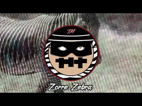Té Minhim 2023 - Zorro Zebra - Carnaval da Nazaré