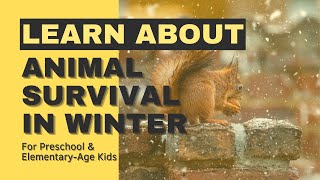 Learn About Animal Survival in Winter for Kids Read Along