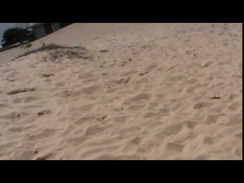 1 festival de pipas natal-rn