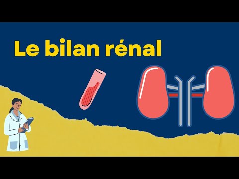 Interpréter un bilan rénal: créatinine et urée