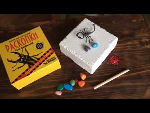 Миниатюра изображения товара Набор для опытов Bumbaram Набор для проведения раскопок. Насекомые / dig-30