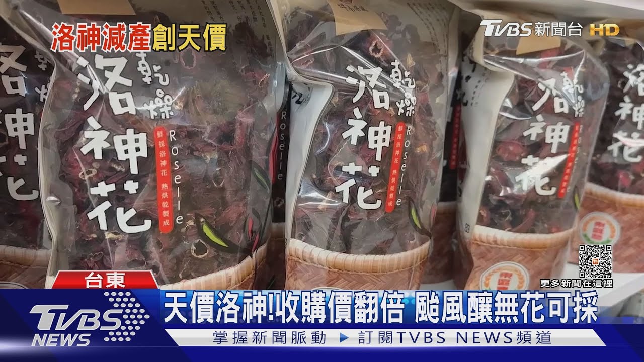 天價洛神!收購價翻倍 颱風釀無花可採