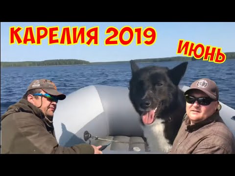 Проект Карелия 2019. Фильм первый - июнь.