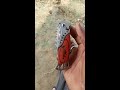 Button Knife Open Whatsapp Status