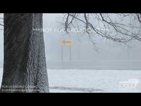 3.1.17 Greenville, MI Heavy Snow