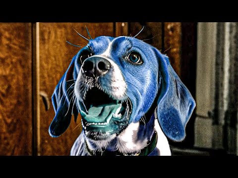 Courage the Cowardly Dog - 1950's Super Panavision 70