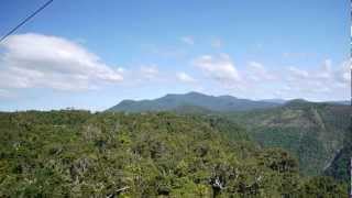 View From The Skyway Over The Daintree Rainforest