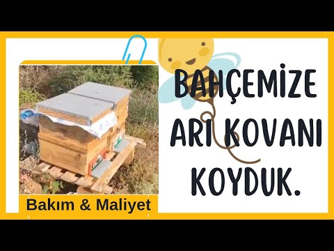 Bahçeye & Tarlaya Arı Kovanı Koymak.