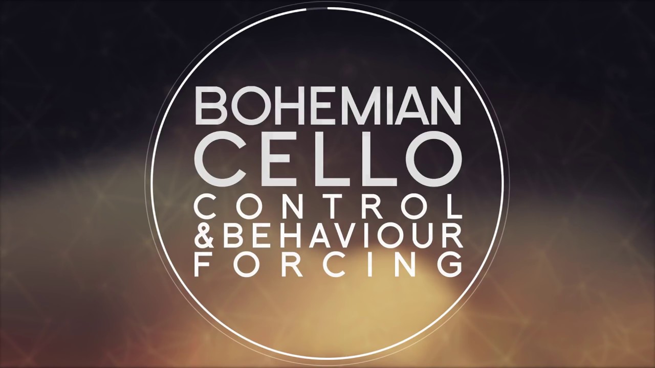 Video fd95a88c-5fcf-447c-8cdf-41012796a16f