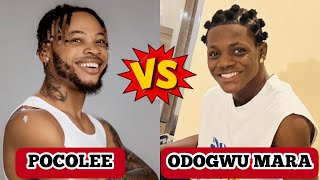 Poco lee vs Odogwu Mara dance challenge, Who is the winner