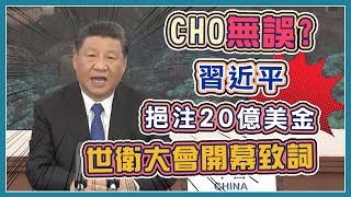 WHA召開台灣未獲邀請　多國力挺抗議