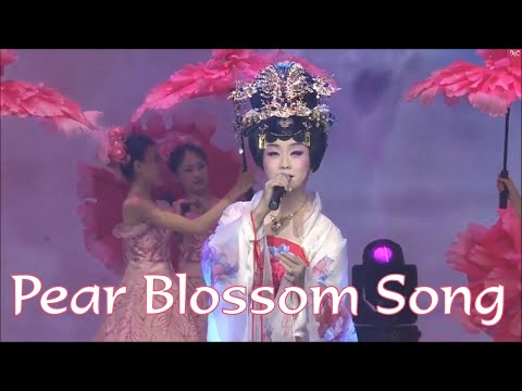 Li Yugang - Pear Blossom Song ~ Spring Festival Gala 2020 ENGLISH SUB