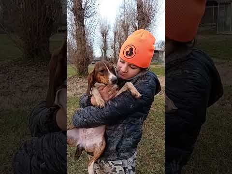 Video di CAKE