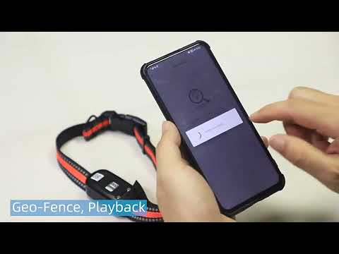 GPS трекер для животных G51 водонепроницаемый 4G с электронным забором Оранжевый - фото 1 - id-p2786472982