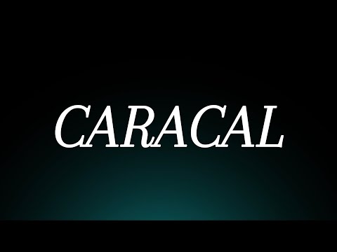 Learn How to Pronounce 'Caracal'! Correctly (Animal Pronunciation)