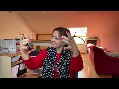 Кастаньеты. María Moya - castañuelas - Les compères - Vladimir Cosma