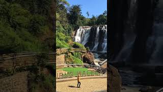 Download lagu Curug malela  Kampung Manglid, Desa Cicadas, Kecamatan Rongga, Kabupaten Bandung Barat mp3