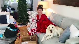Shania Twain - 12 Days Of Shania GIVEWAY - Day #8: Favourite Things About The Holiday