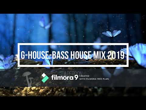G-House-Bass House Mix 2019