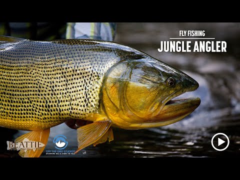 Full Film — Fishing for Golden Dorado in the Bolivian Jungle in JUNGLE ANGLER