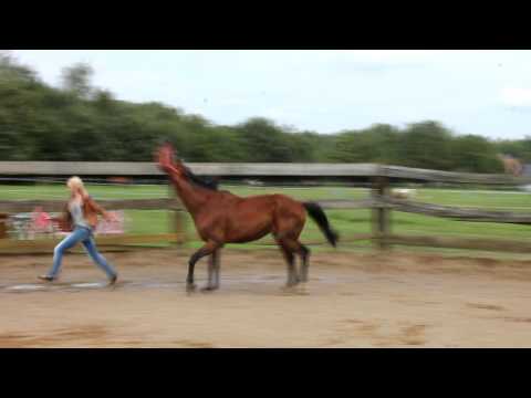 i'm not leaving you anymore