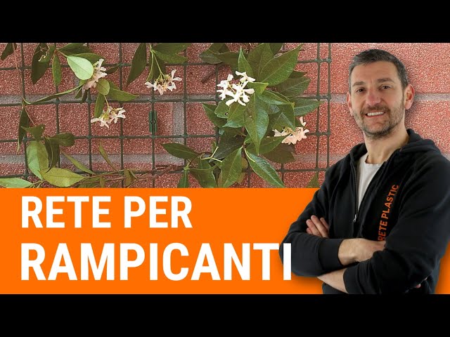 Rete per piante rampicanti