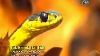Download lagu Cap Kapok Ular lidi mp3