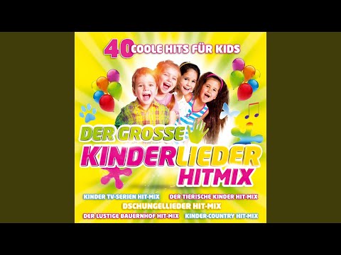 Der Kinder Tv-Serien Hit-Mix I: Wickie / Heidi / Biene Maja / Pumuckl / Der rosarote Panther...