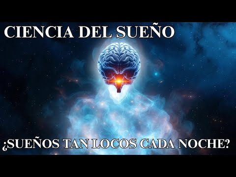 The Science of Insane Dreams: Why Your Brain Goes Crazy While You Sleep