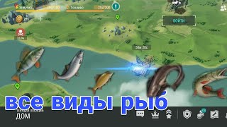 Когда ловить всех видов рыб