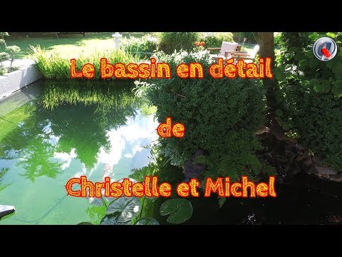 download lagu mp3 mp4 Michel Bassin, download lagu Michel Bassin gratis, unduh video klip Download Michel Bassin Mp3 dan Mp4 Music Online Gratis