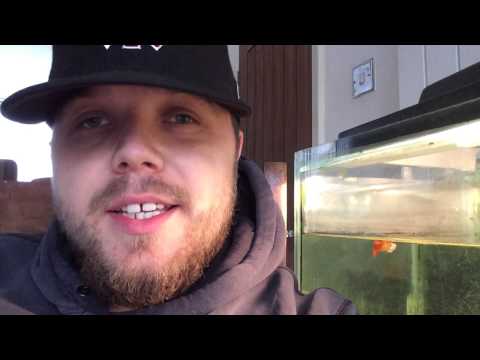 KLCK #hot16challenge- Pablo APG. Toru NBT. Mega Kulis