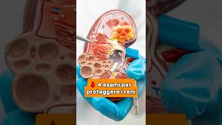 Download lagu Protect your KIDNEYS with these tests🩸 mp3