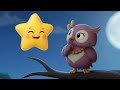 ESTRELLITA Y LA LECHUZA Canciones Para Dormir A Tu Bebé