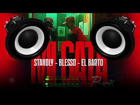 BLESSD ❌ STANDLY ❌ EL BARTO | MI GATA REMIX (Bass Boosted)