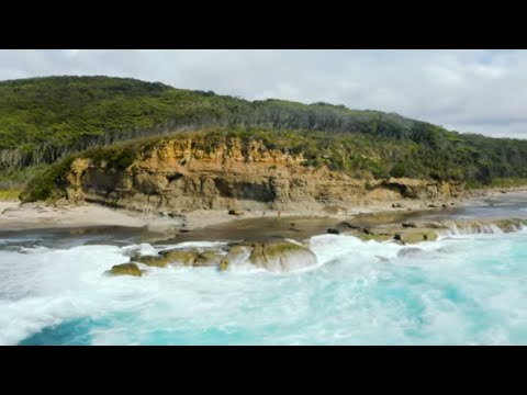 Murramarang South Coast Walk